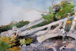 Guide Hiding A Canoe — Winslow Homer, Contemporary Realism