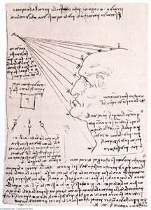 Studie Des Lichteffekts Auf Einen Profilkopf (faksimile) — Leonardo Da Vinci