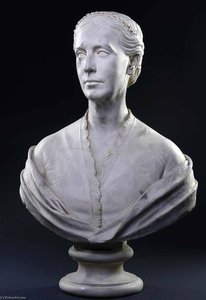 Witch Hazel (Hamamelis virginiana)