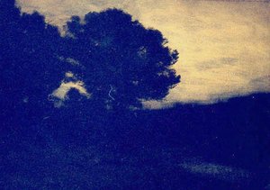 Chênes Au Crépuscule — Auguste Emmanuel Pointelin