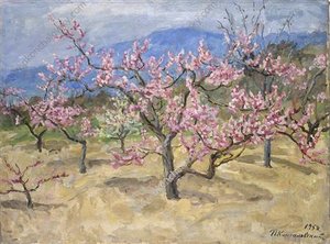 Crimea. Blooming Peach Tree. — Pyotr Konchalovsky