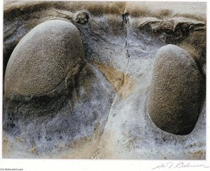 Stones, Pt. Lobos
