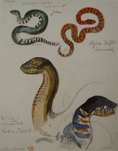 Four Studies Of Snakes — Густав Море Ау, Symbolist Painting