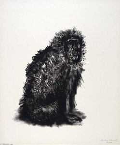 (A Bestiary, portfolio) Monkey