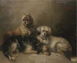 Three Mischievous Terriers — George Armfield (smith)