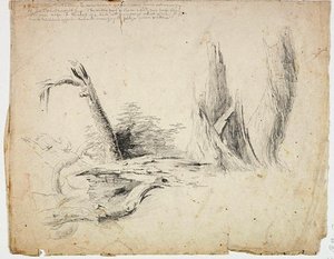 Decaying Tree Trunks — Thomas Cole