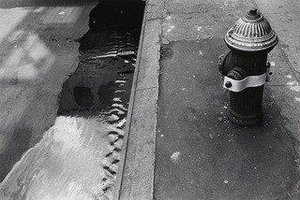 Gutter — Joseph Dankowski