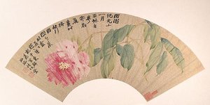 清 趙之謙 芍藥 扇面 Peony