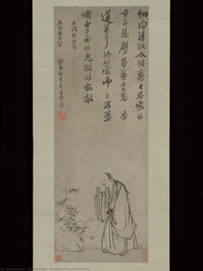 Plucking Chrysanthemums — Zhang Feng (chinese, Active Ca. 1628–1662)