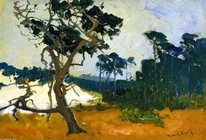 Lone Cypress — Franz Bischoff