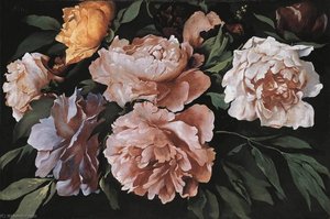 German Pfingstrosen (Päonien) Peonies