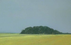 Large Harvest Field And Woods Near Happisburgh, Norfolk — Colin Self