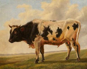 Friesian Bull In A Landscape — Thomas Sidney Cooper