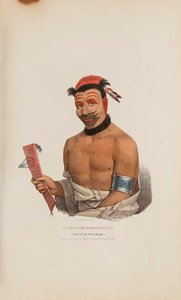 Wadt He Doo Kaana Chief Of The Winnebagoes, From The Aboriginal Portfolio — James Otto Lewis