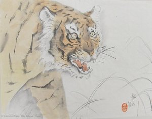 Tiger — Miki Suizan