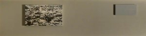Six Landscapes (moss) (left Section) — Donald Urquhart