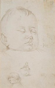 The Head Of A Small Boy In Three-quarter Profile — Hans Baldung