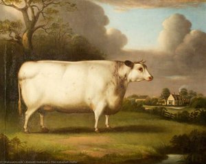 The Habertoft Heifer — Bennett Hubbard