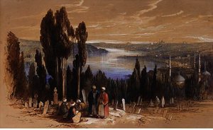 Constantinople From Ayoub 1 — Edward Lear