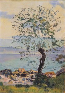 Willow Tree By The Lake — Фердинанд Ходлер, Post-impressionist Landscape
