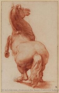 Rearing Horse — Francesco Salviati