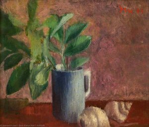 Still Life