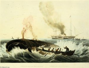 Peche De La Baleine — Ambroise Louis Garneray