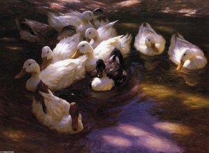 Eleven Ducks In The Morning Sun — Alexander Max Koeste