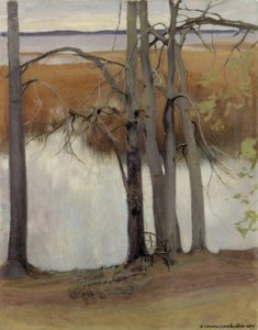 Lake Shore With Reeds — Eero Järnefelt