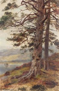 The Great Scots Pine — Louis Bosworth Hurt