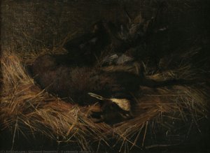 Il camoscio morto