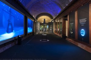 The Pacific Ocean — Braulio Vázquez