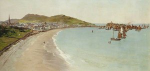 Peel — John Miller Nicholson
