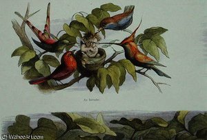 An Intruder — Richard Doyle