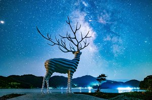 White Deer (oshika) — Kohei Nawa, Contemporary Art