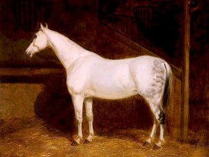 A Grey Hunter In A Stable — Sr John E Ferneley