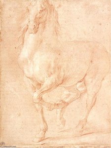 Study Of A Horse — Pierre Puget