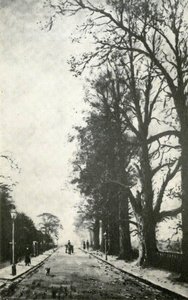 Bruce Grove, Tottenham