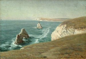 Tintagel Coast, Cornwall — Byron Cooper