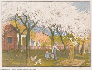 Plum And Peach Bloom — Gustave Baumann