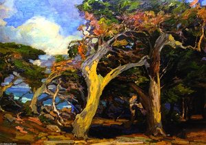Windswept Twisted Cypress — Franz Bischoff