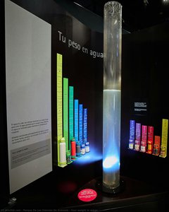 Your weight in water