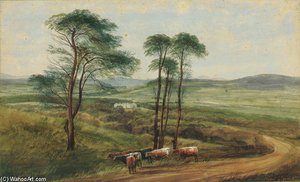 Near Letterkenny, Co. Donegal — Andrew Nicholl