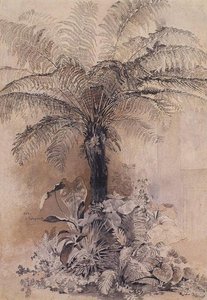 Tropical Plants — Aleksey Savrasov