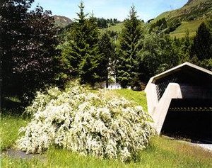 Airolo