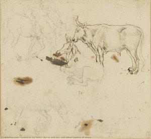 An Ox And Ass, And Other Studies Of Asses — Leonardo Da Vinci, Renaissance