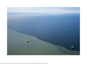20170404_wetlands_aerials — Catherine Tina Freeman