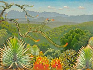 The Tsitsikamma Mountains, Swaziland — Keith Henderson