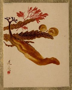 Seaweed — Shibata Zeshin
