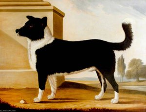 Lord Byron's Dog 'boatswain' (1803–1808) (the Newfoundland) — Clifton Tomson, Contemporary Realism